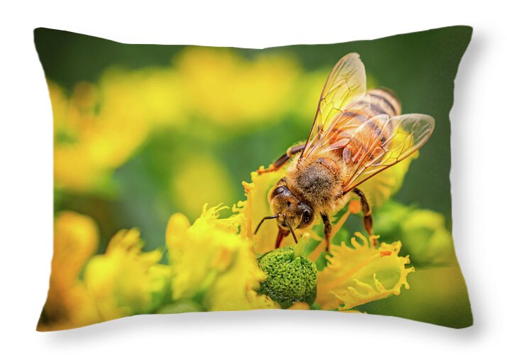 Bee Collecting Pollen on a Flower - Throw Pillow