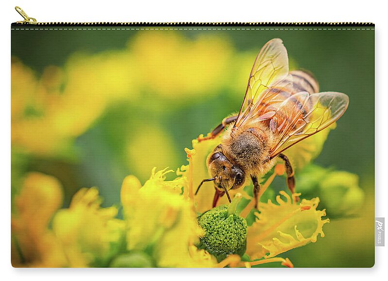 Bee Collecting Pollen on a Flower - Zip Pouch