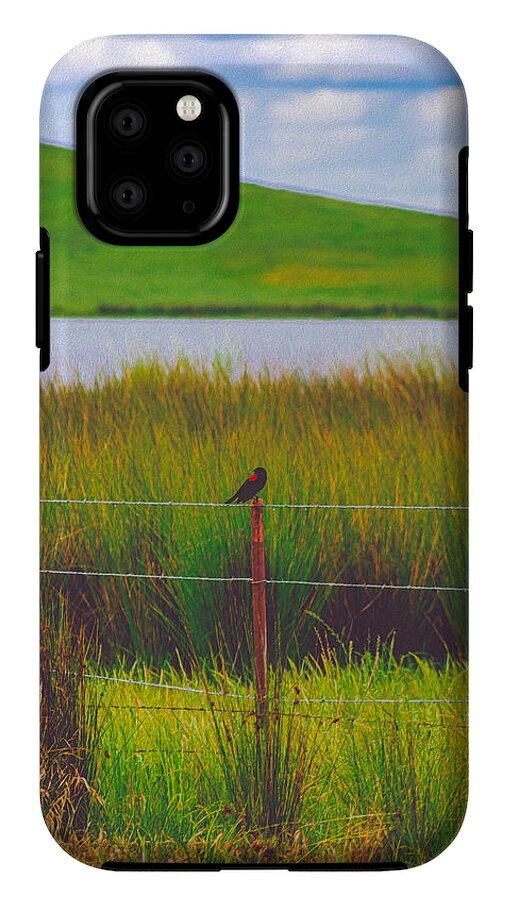 Black and Red Bird Chilling by the Reservoir - Phone Case