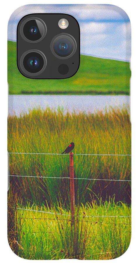 Black and Red Bird Chilling by the Reservoir - Phone Case