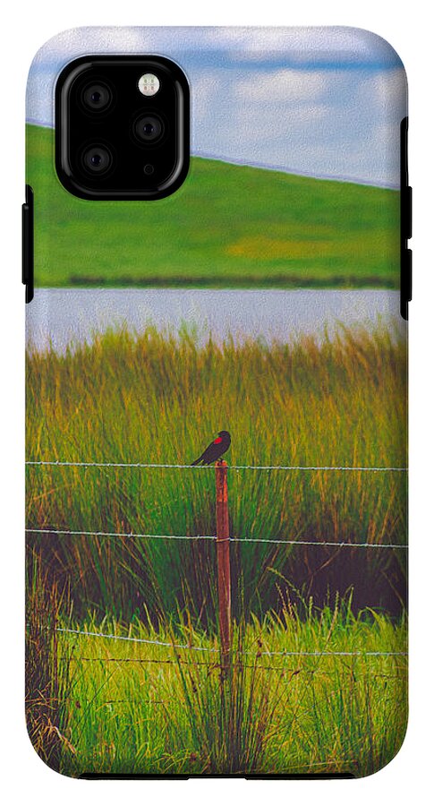 Black and Red Bird Chilling by the Reservoir - Phone Case
