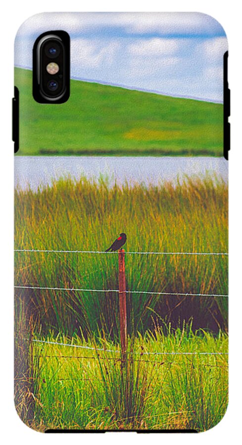 Black and Red Bird Chilling by the Reservoir - Phone Case