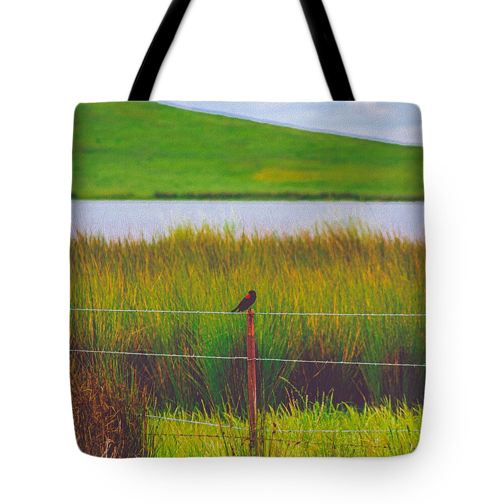Black and Red Bird Chilling by the Reservoir - Tote Bag