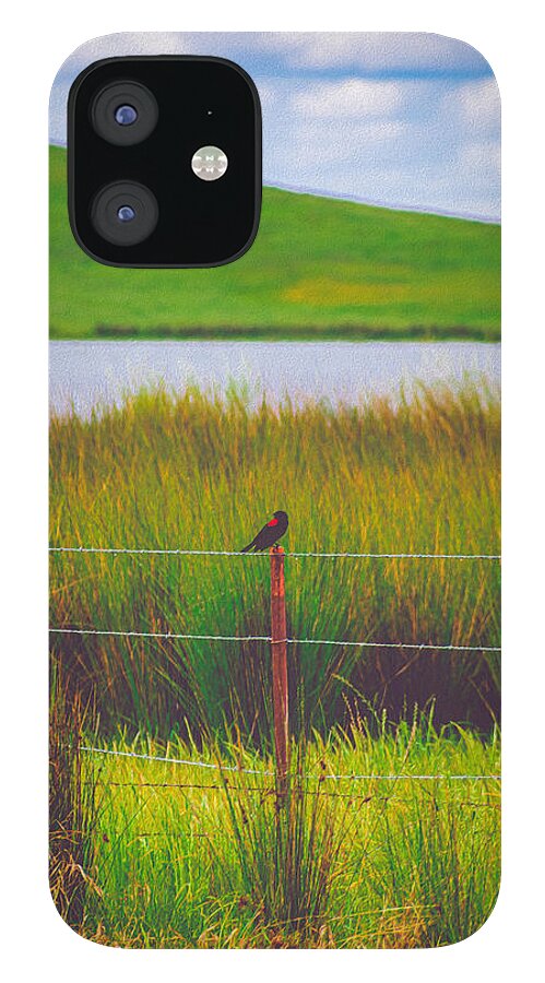 Black and Red Bird Chilling by the Reservoir - Phone Case