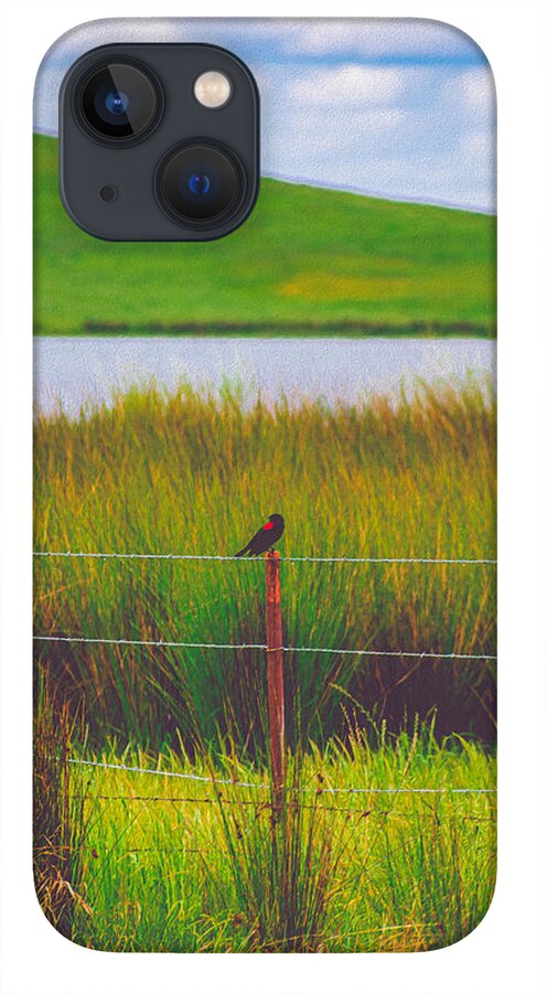 Black and Red Bird Chilling by the Reservoir - Phone Case