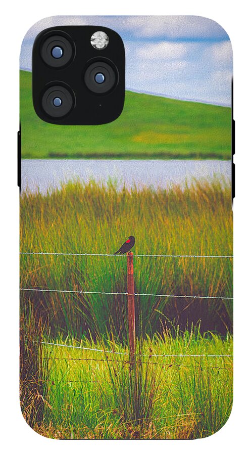 Black and Red Bird Chilling by the Reservoir - Phone Case