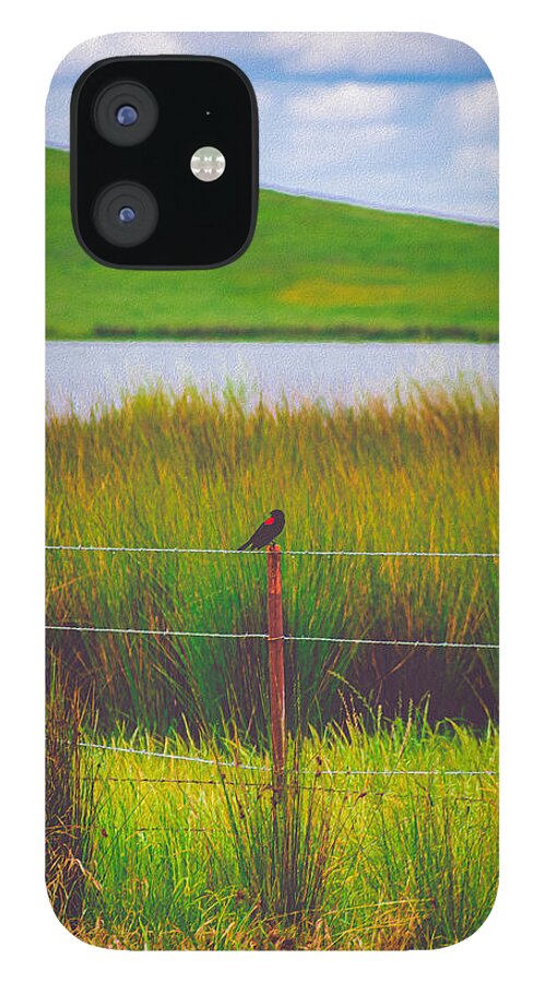 Black and Red Bird Chilling by the Reservoir - Phone Case