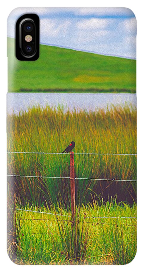 Black and Red Bird Chilling by the Reservoir - Phone Case