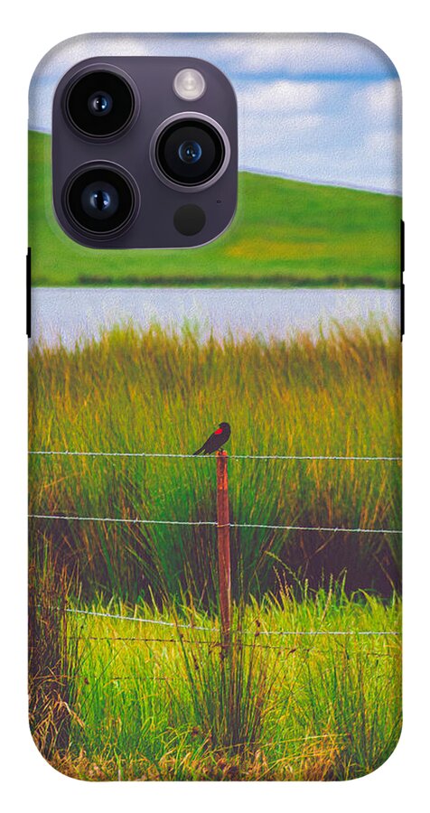 Black and Red Bird Chilling by the Reservoir - Phone Case