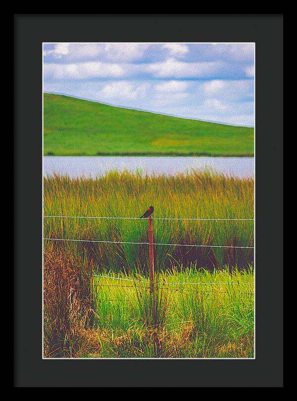 Black and Red Bird Chilling by the Reservoir - Framed Print