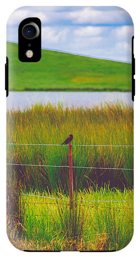Black and Red Bird Chilling by the Reservoir - Phone Case