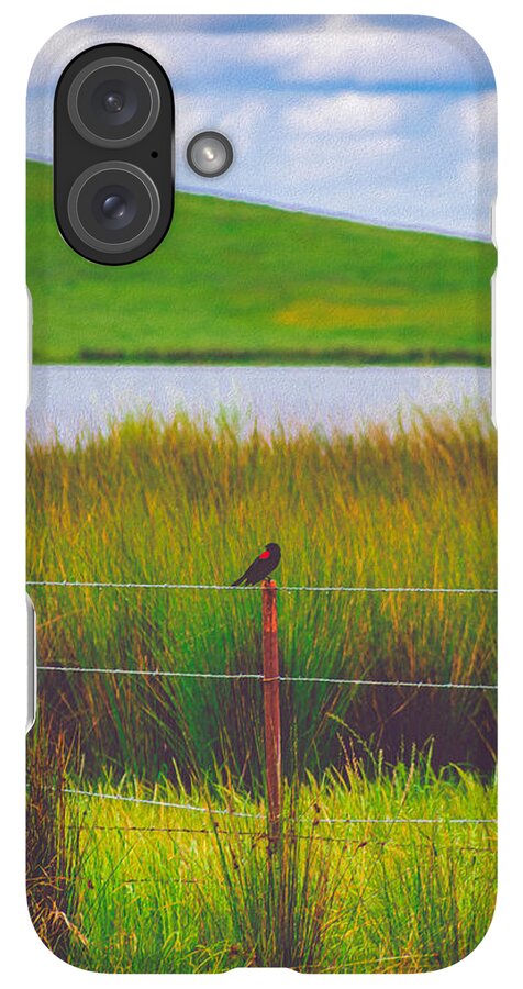 Black and Red Bird Chilling by the Reservoir - Phone Case