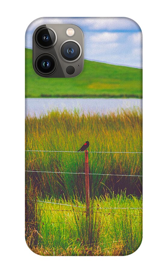 Black and Red Bird Chilling by the Reservoir - Phone Case