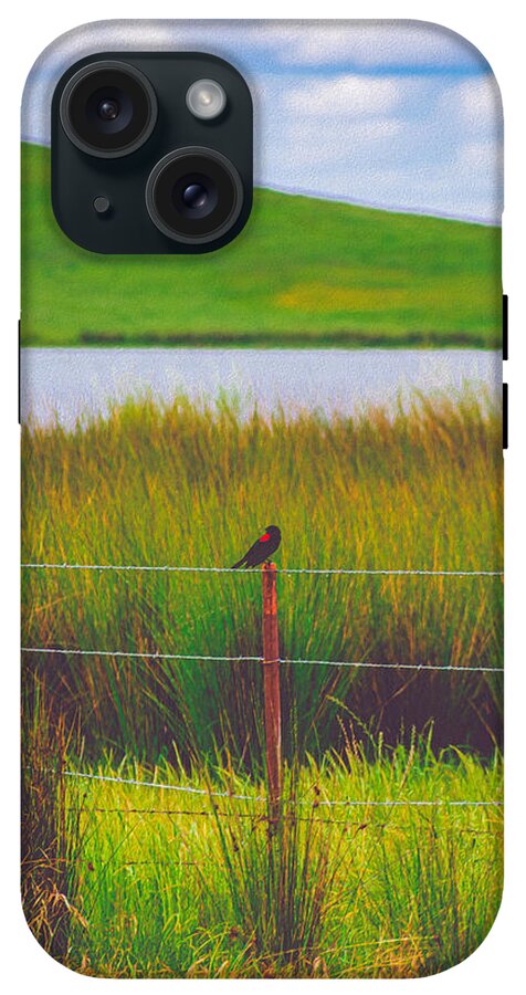Black and Red Bird Chilling by the Reservoir - Phone Case