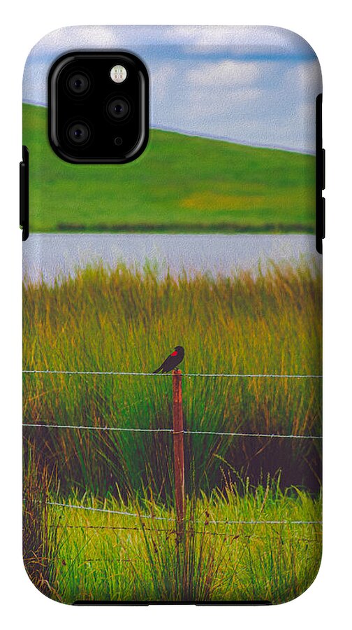 Black and Red Bird Chilling by the Reservoir - Phone Case