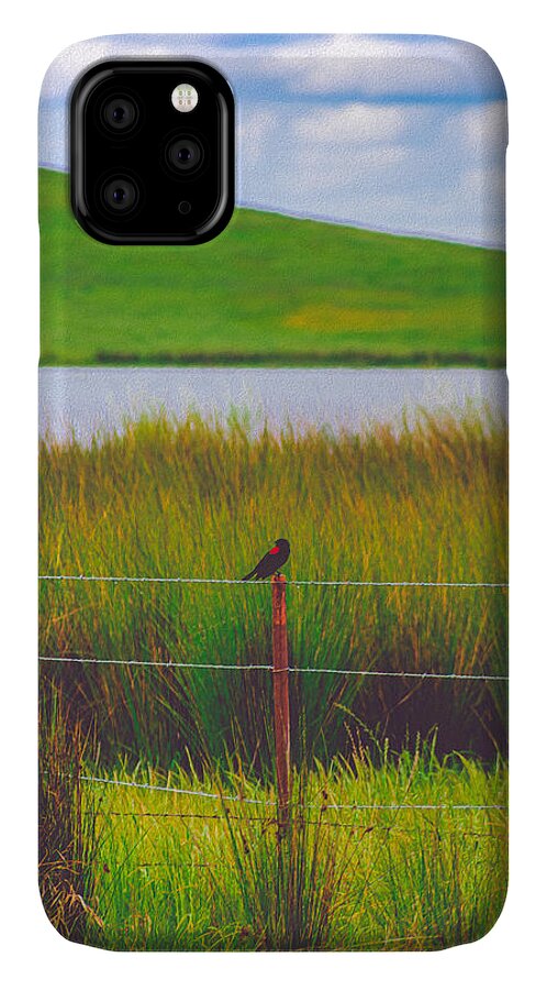 Black and Red Bird Chilling by the Reservoir - Phone Case