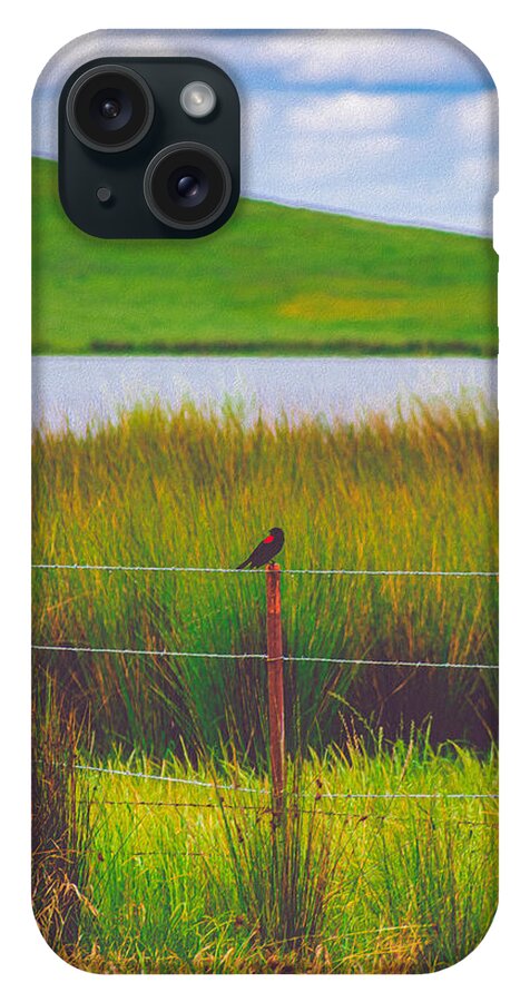 Black and Red Bird Chilling by the Reservoir - Phone Case