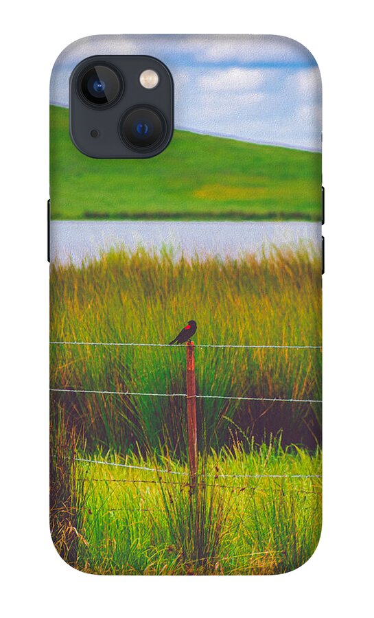 Black and Red Bird Chilling by the Reservoir - Phone Case
