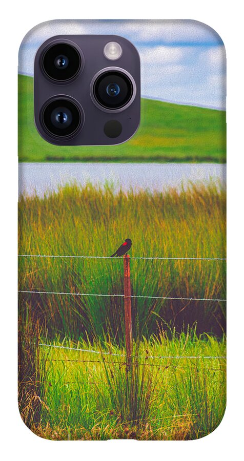 Black and Red Bird Chilling by the Reservoir - Phone Case