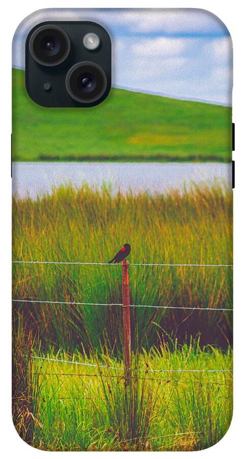 Black and Red Bird Chilling by the Reservoir - Phone Case