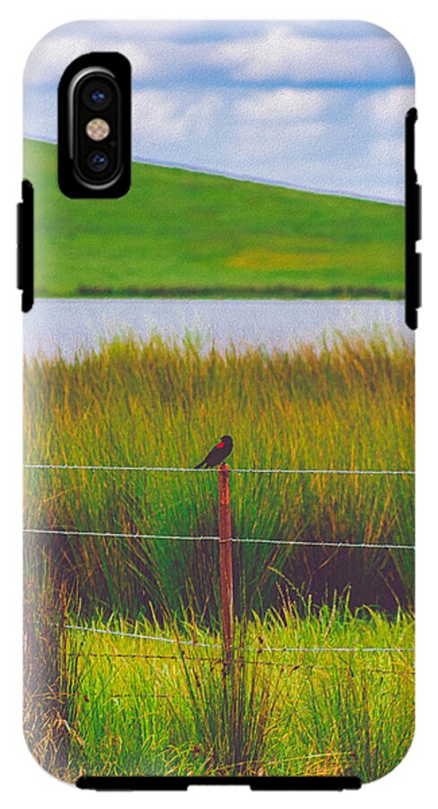 Black and Red Bird Chilling by the Reservoir - Phone Case
