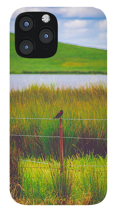 Black and Red Bird Chilling by the Reservoir - Phone Case