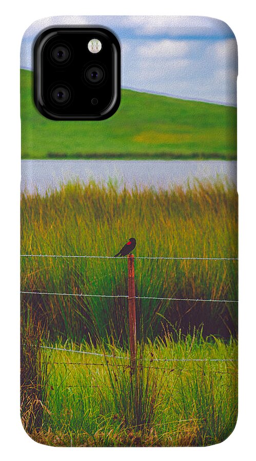 Black and Red Bird Chilling by the Reservoir - Phone Case