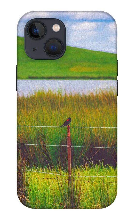 Black and Red Bird Chilling by the Reservoir - Phone Case