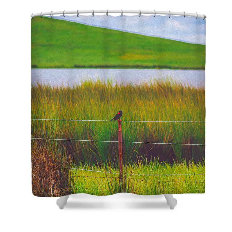 Black and Red Bird Chilling by the Reservoir - Shower Curtain