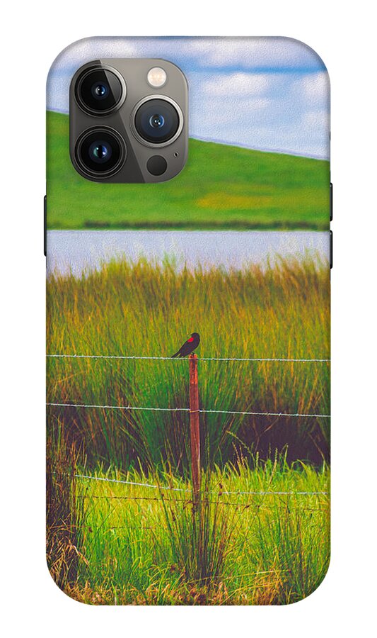 Black and Red Bird Chilling by the Reservoir - Phone Case