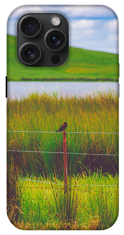 Black and Red Bird Chilling by the Reservoir - Phone Case