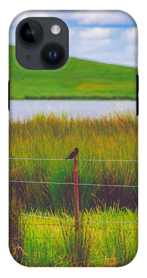 Black and Red Bird Chilling by the Reservoir - Phone Case