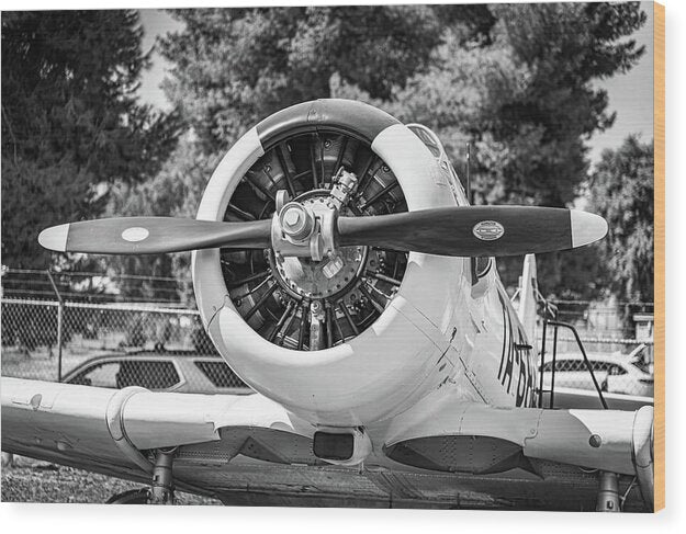 Black and White Castle Airforce Resident Airplane - Wood Print