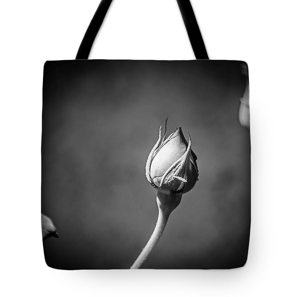 Black and White Closeup Rose - Tote Bag