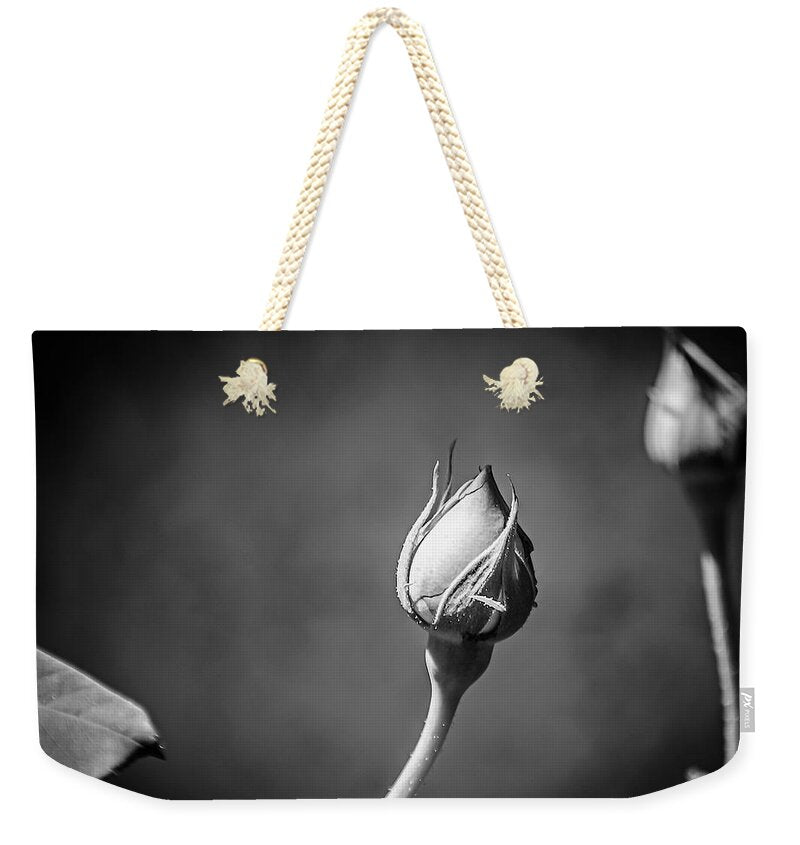 Black and White Closeup Rose - Weekender Tote Bag