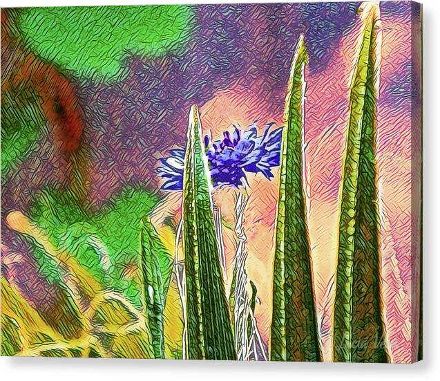 Blue artistic Landscape of a Hidden Flower - Canvas Print