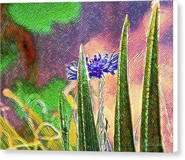 Blue artistic Landscape of a Hidden Flower - Canvas Print