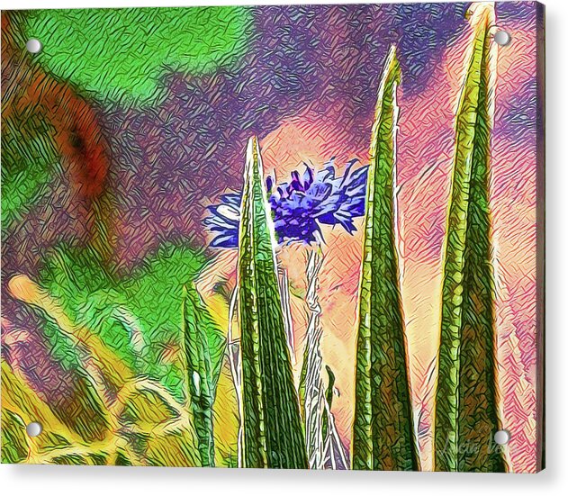 Blue artistic Landscape of a Hidden Flower - Acrylic Print