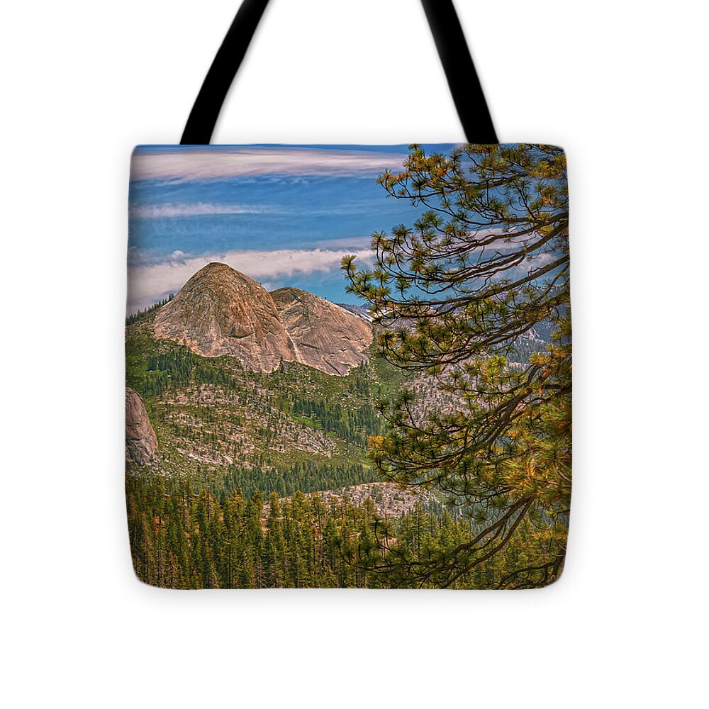 Blurry Trees and Focused Mountains Landscape - Tote Bag
