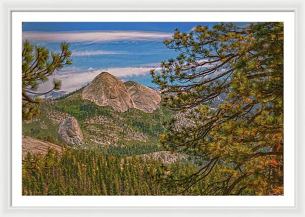 Blurry Trees and Focused Mountains Landscape - Framed Print