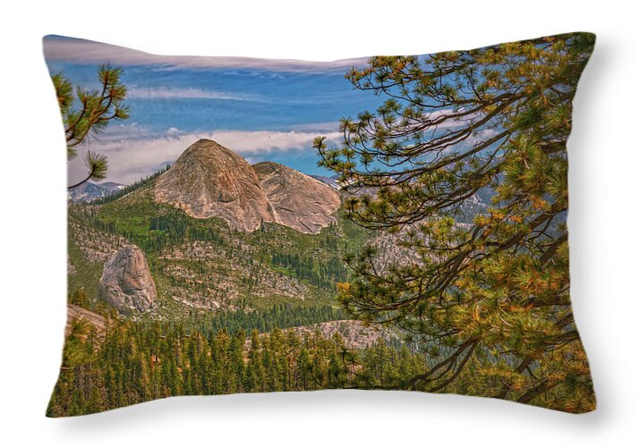 Blurry Trees and Focused Mountains Landscape - Throw Pillow