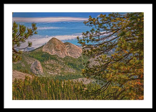 Blurry Trees and Focused Mountains Landscape - Framed Print