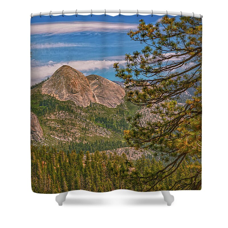Blurry Trees and Focused Mountains Landscape - Shower Curtain