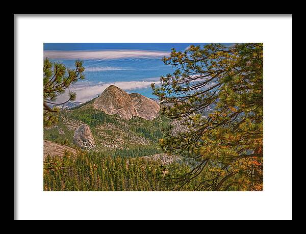 Blurry Trees and Focused Mountains Landscape - Framed Print