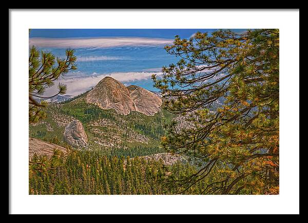 Blurry Trees and Focused Mountains Landscape - Framed Print