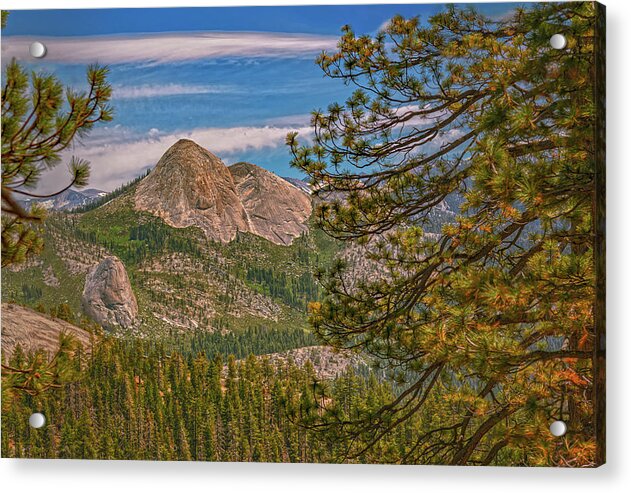 Blurry Trees and Focused Mountains Landscape - Acrylic Print