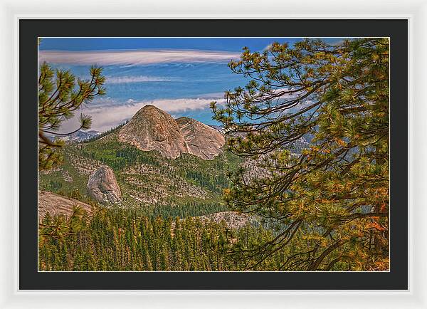 Blurry Trees and Focused Mountains Landscape - Framed Print