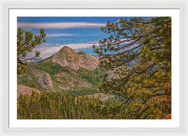 Blurry Trees and Focused Mountains Landscape - Framed Print