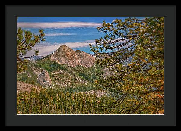 Blurry Trees and Focused Mountains Landscape - Framed Print