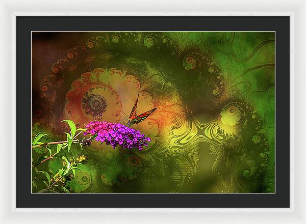 Butterfly on Magenta Flowers with Abstract Design - Framed Print